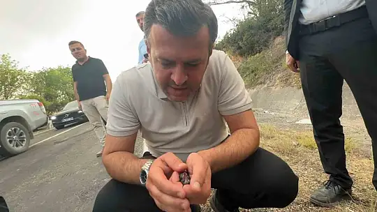 Karabük Belediye Başkanı Çetinkaya, yangında etkilenen serçeye elleriyle su verdi