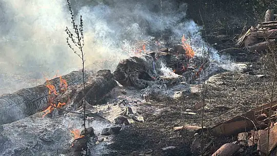 Karabük'te anız yangını korkuttu: Bir samanlık yandı
