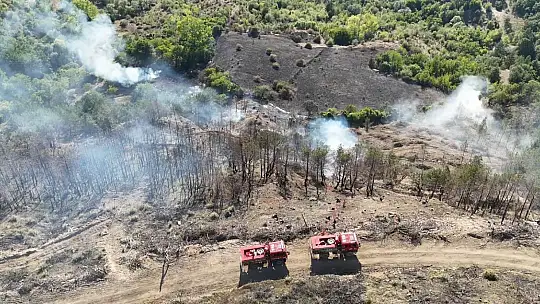 Karabük'te anız yangını korkuttu: Bir samanlık yandı