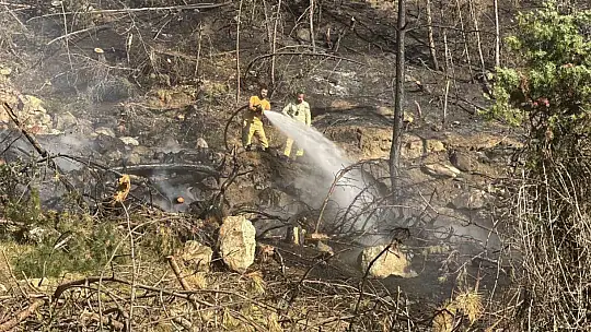 Karabük'te anız yangını korkuttu: Bir samanlık yandı