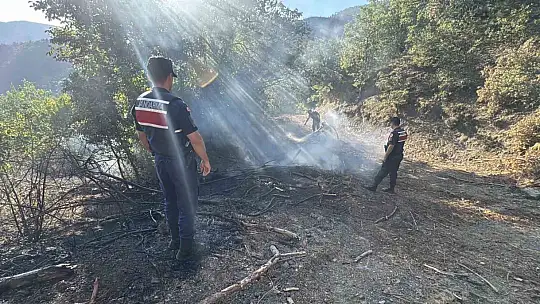 Karabük'te anız yangını korkuttu: Bir samanlık yandı