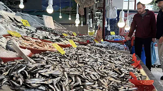 Karabük'te balık tezgahlarında hamsi bolluğu: Kilosu 100 TL'ye kadar düştü