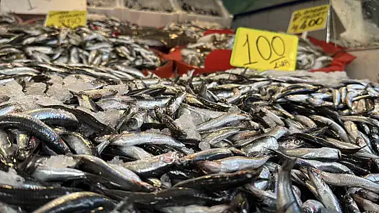Karabük'te balık tezgahlarında hamsi bolluğu: Kilosu 100 TL'ye kadar düştü