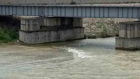 Karabük'te gri balıkçıl cep telefonu kamerasıyla görüntülendi