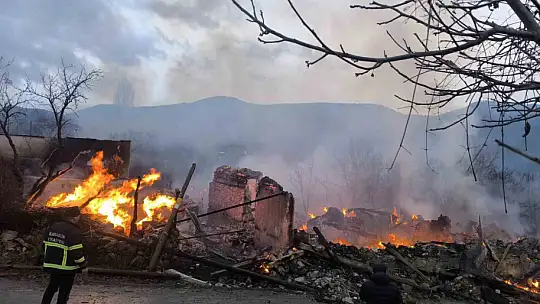 Karabük'te köyde çıkan yangın 4 evi ve bir ahırı küle çevirdi