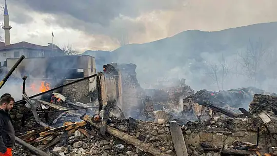 Karabük'te köyde çıkan yangın 4 evi ve bir ahırı küle çevirdi