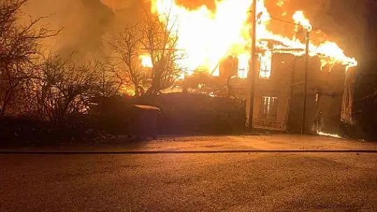 Karabük'te köyde çıkan yangın 4 evi ve bir ahırı küle çevirdi