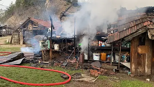 Karabük'te müştemilat yangını: 2 köpek yavrusu telef oldu