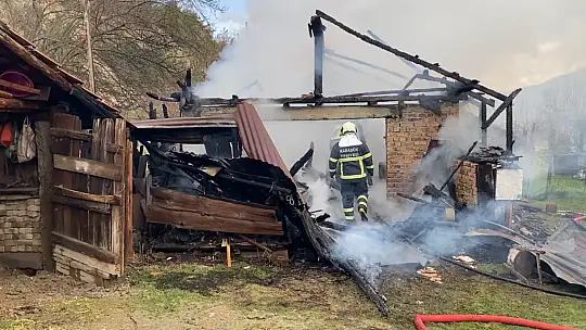 Karabük'te müştemilat yangını: 2 köpek yavrusu telef oldu