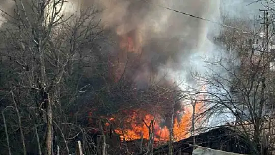 Karabük'te müştemilat yangını: 2 köpek yavrusu telef oldu