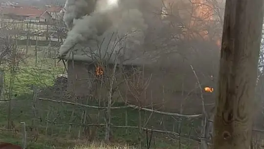 Karabük'te müştemilat yangını: 2 köpek yavrusu telef oldu