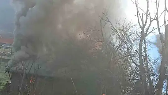 Karabük'te müştemilat yangını: 2 köpek yavrusu telef oldu