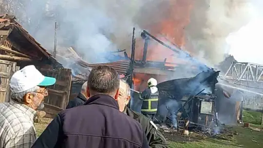 Karabük'te müştemilat yangını: 2 köpek yavrusu telef oldu