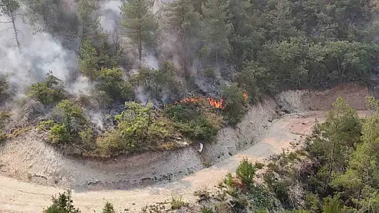 Karabük'te orman yangını 69 saattir sürüyor