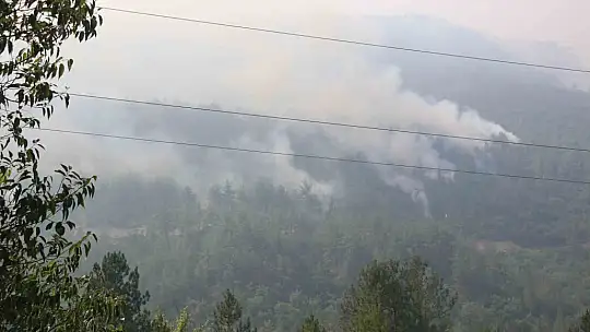 Karabük'te orman yangını 69 saattir sürüyor