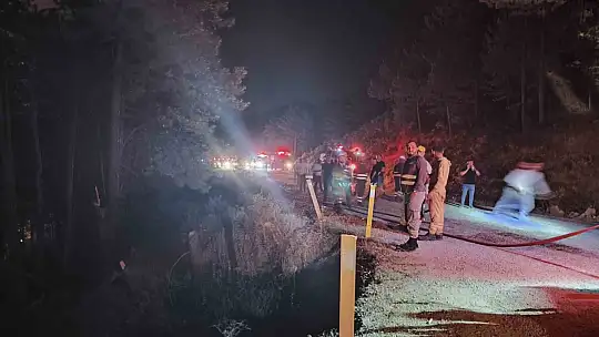 Karabük'te orman yangını büyüyor