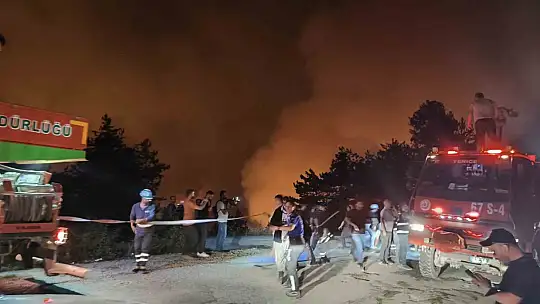 Karabük'te orman yangını büyüyor