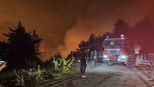 Karabük'te orman yangını büyüyor