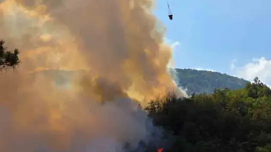 Karabük'te orman yangını rüzgarın etkisiyle büyüyor