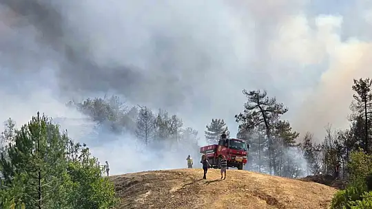 Karabük'te orman yangını rüzgarın etkisiyle büyüyor