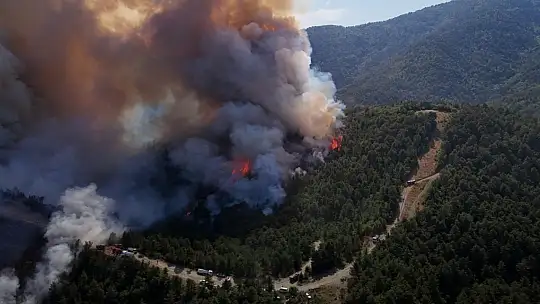 Karabük'te orman yangını rüzgarın etkisiyle büyüyor