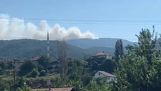 Karabük'te orman yangını