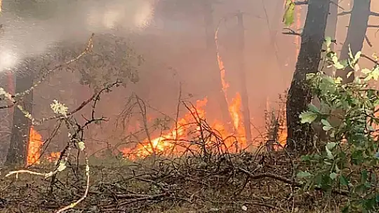 Karabük'te orman yangını
