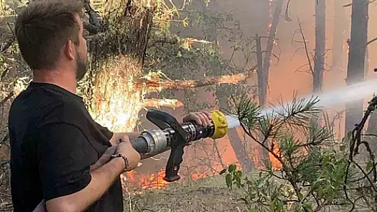 Karabük'te orman yangını