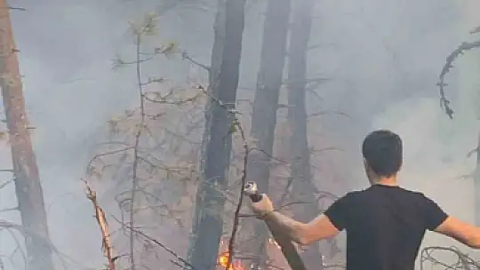Karabük'te orman yangını