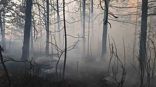 Karabük'te orman yangınına 6 saattir 116 araçla müdahale ediliyor