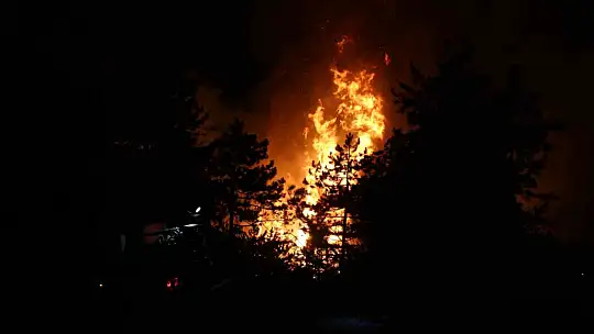Karabük'te orman yangınına 6 saattir 116 araçla müdahale ediliyor
