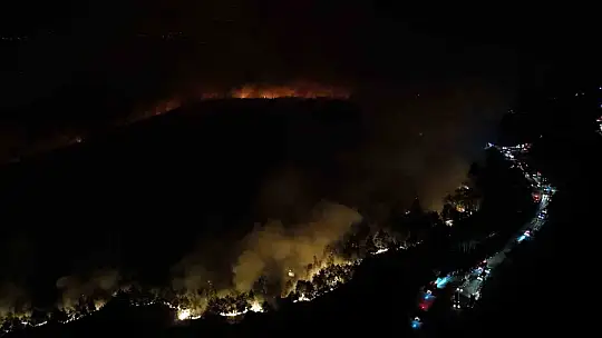 Karabük'te orman yangınına 6 saattir 116 araçla müdahale ediliyor