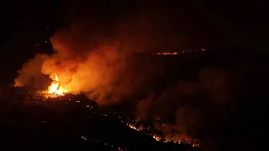 Karabük'te orman yangınına 6 saattir 116 araçla müdahale ediliyor