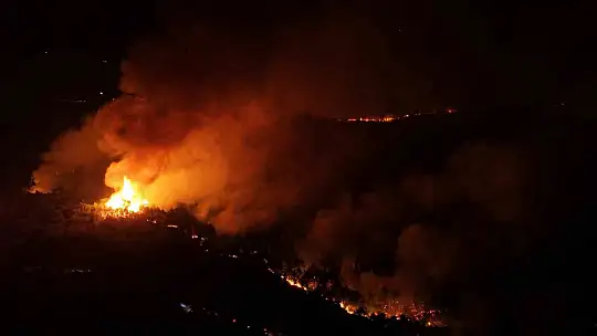 Karabük'te orman yangınına 6 saattir 116 araçla müdahale ediliyor