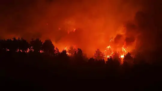 Karabük'te orman yangınına 6 saattir 116 araçla müdahale ediliyor
