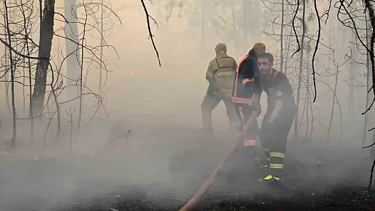 Karabük'te orman yangınına 6 saattir 116 araçla müdahale ediliyor