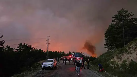 Karabük'te orman yangınına 6 saattir 116 araçla müdahale ediliyor