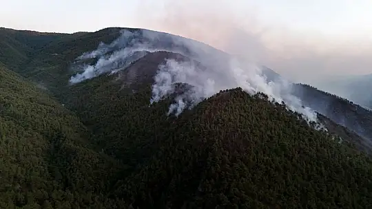 Karabük'te orman yangınına müdahale 6 saattir aralıksız sürüyor