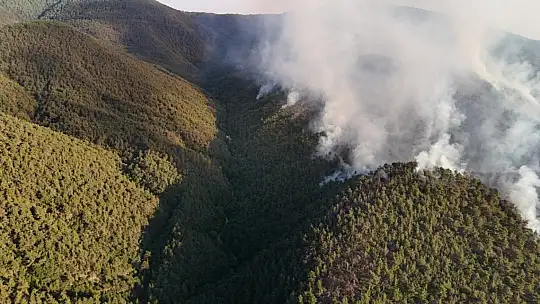 Karabük'te orman yangınına müdahale 6 saattir aralıksız sürüyor