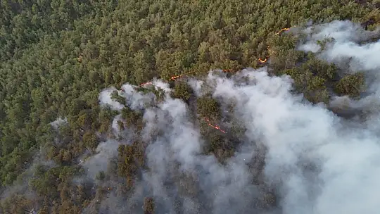 Karabük'te orman yangınına müdahale 6 saattir aralıksız sürüyor