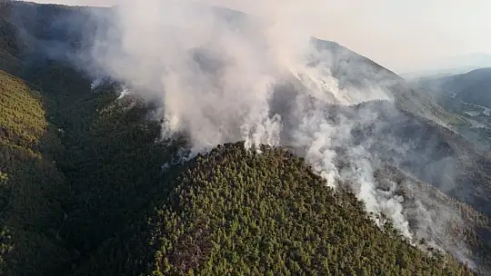 Karabük'te orman yangınına müdahale 6 saattir aralıksız sürüyor