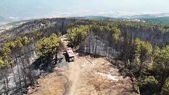 Karabük'te orman yangınının ardından yürek burkan manzara