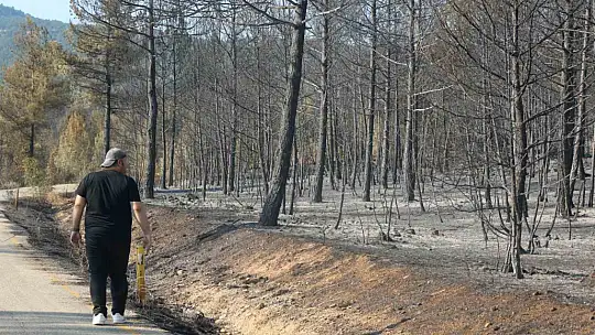 Karabük'te orman yangınlarındaki yürek burkan tahribat havadan görüntülendi