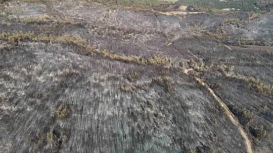 Karabük'te orman yangınlarındaki yürek burkan tahribat havadan görüntülendi