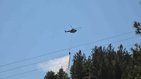 Karabük'te ormanlık alanda çıkan örtü yangını kontrol altına alındı