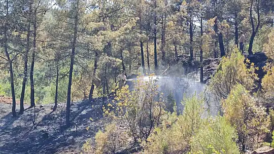 Karabük'te ormanlık alanda çıkan örtü yangını kontrol altına alındı