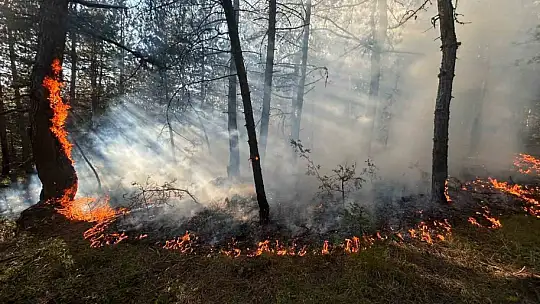 Örtü yangını büyümeden söndürüldü