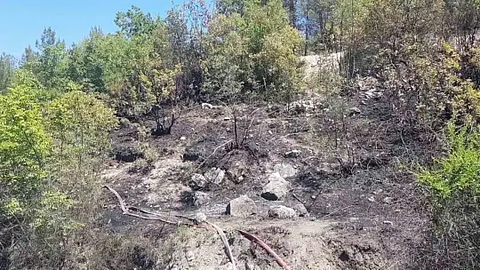 Karabük'te örtü yangınları büyümeden söndürüldü