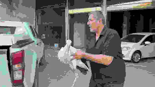 Oto yıkamacıya sığınan leylek koruma altına alındı