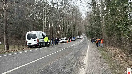 Karabük'te otomobil ağaca çarptı: 1 ölü, 2 yaralı